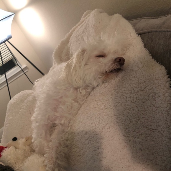 Meet your Posher, Vanessa 🎀 - Picture 2 of 2